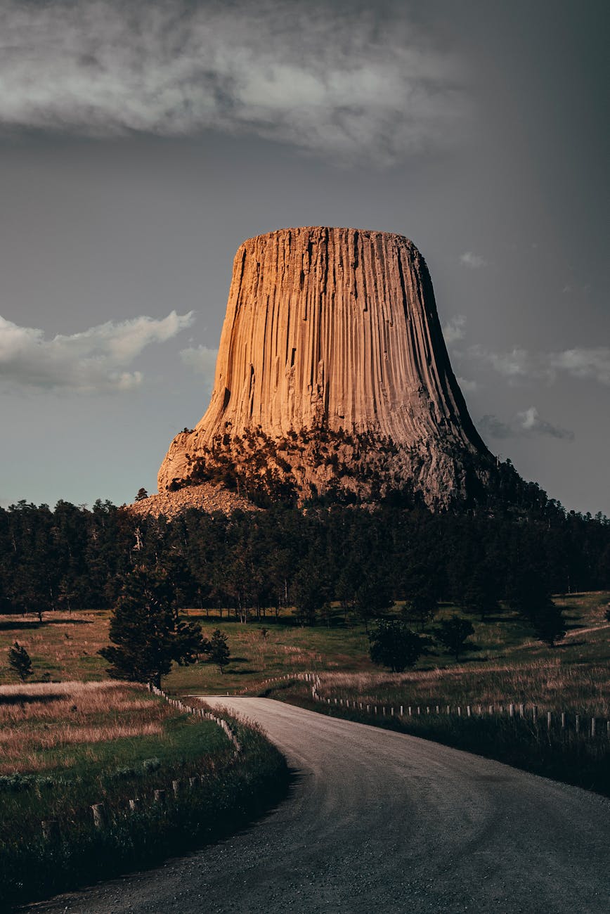 green trees near rock formation